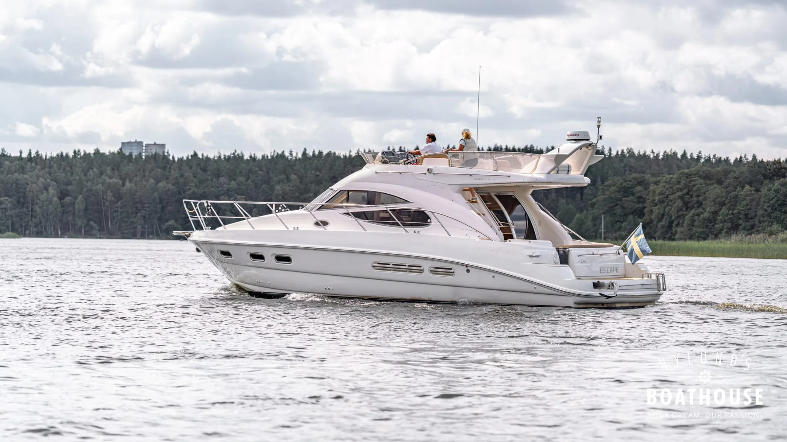 Sealine F42 / 5 - Image 1