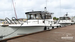 Nord Star 28+